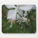 Recherche de mariage floral tapis souris Botanique