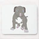 Recherche de pitbull chien tapis souris Animal de compagnie