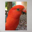 Recherche de naïfs art Forêt tropicale