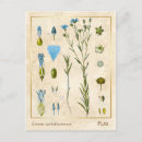 Recherche de fleurs bleues cartes postales Pour elle