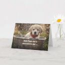 Recherche de laboratoire jaune vœux cartes Dog