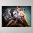 Recherche de de whippet art Lurcher
