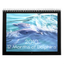 Recherche de dauphins calendriers Mer