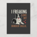 Recherche de chien de border collie cartes postales Chiot