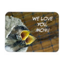 Recherche de bouchers magnets Pour elle