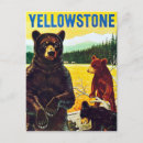 Recherche de ours vintage cartes postales Étourdi