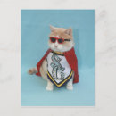 Recherche de chat super cartes postales Drôle de chat