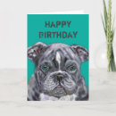 Recherche de animal lover vœux cartes Pour animaux
