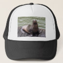 Recherche de otarie accessoires Animal