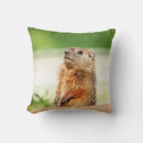 Recherche de marmottes coussins Faune