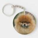Recherche de spitz porteclés Chien
