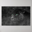 Recherche de émeraude posters Mystique