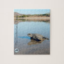 Recherche de hatchling Océan