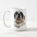 Recherche de saint bernard tasses Chiot