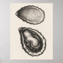 Recherche de huitres art Coquille