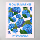 Recherche de hortensia rose posters Pour tous