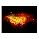 Recherche de plume posters Oiseau