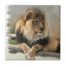 Recherche de roi de la jungle carreaux Lion