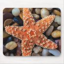 Recherche de vous roche tapis souris Plage