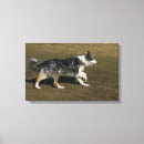 Recherche de courant impressions sur toile Chien
