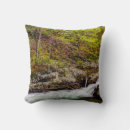 Recherche de ruisseau coussins Parc national