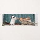 Recherche de cat yoga tapis Chaton