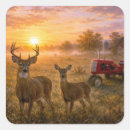 Recherche de biche autocollants Cerf à queue blanche
