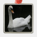 Recherche de cygne blanc ornements Cygnes