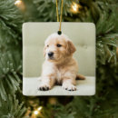 Recherche de golden retriever ornements Animal