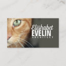 Recherche de affaires de chat cartes visite Chaton