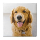 Recherche de langue carreaux Mignon