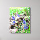 Recherche de jacinthes art Fleurs