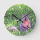 Recherche de écureuil gris horloges Faune