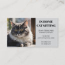 Recherche de cat cartes visite Vétérinaire