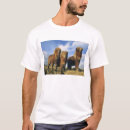 Recherche de poney shetland tshirts Foin
