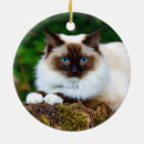 Recherche de thaïlandais ornements Félin