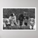 Recherche de chiots art Animaux