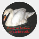 Recherche de cygne blanc autocollants Lac