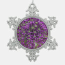 Recherche de allium Violet