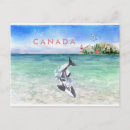 Recherche de orque cartes postales Île de vancouver