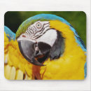 Recherche de compagnon tapis souris Animal