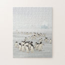 Recherche de pingouins puzzles Famille