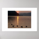 Recherche de rogers posters Nature