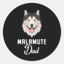 Recherche de alaskan malamute autocollants Sibérien husky
