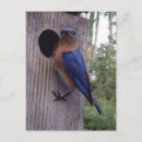 Recherche de habitat cartes postales Environnement