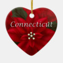Recherche de poinsettias ornamente Pour tous
