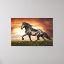 Recherche de cheval noir toiles Étalon