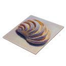 Recherche de palourdes carreaux Coquille de palourde