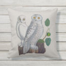 Recherche de hibou blanc coussins Oiseaux