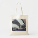 Recherche de blaireaux sacs Toute personne